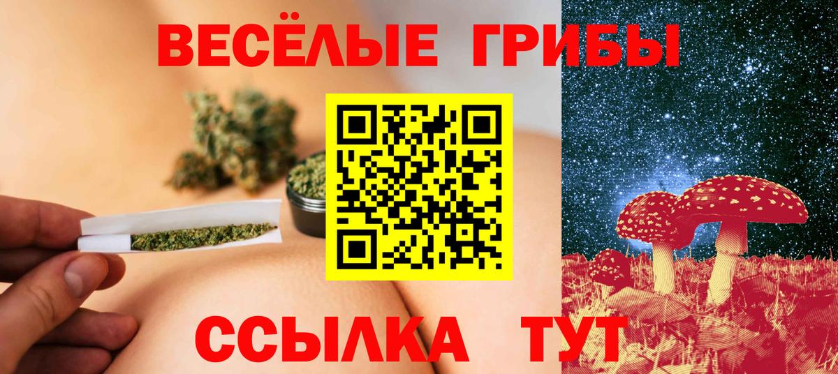 дарнет шоп  Вход с VPN  Борзя  Галлюциногенные грибы Psilocybine cubensis 