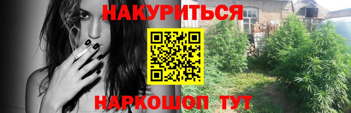 МАРИХУАНА планчик  Вход с VPN  Борзя  Бошки Шишки сатива 